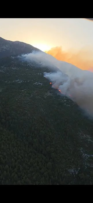 Alevlerle Nefes Kesen Mücadele! Antalya Kaş'ta Orman Yangını